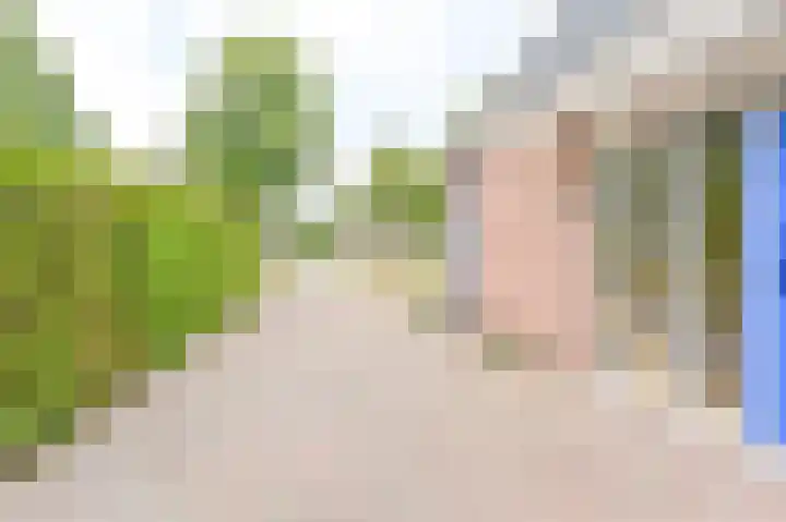 Gentiaan 7 Odoorn thumbnail 73