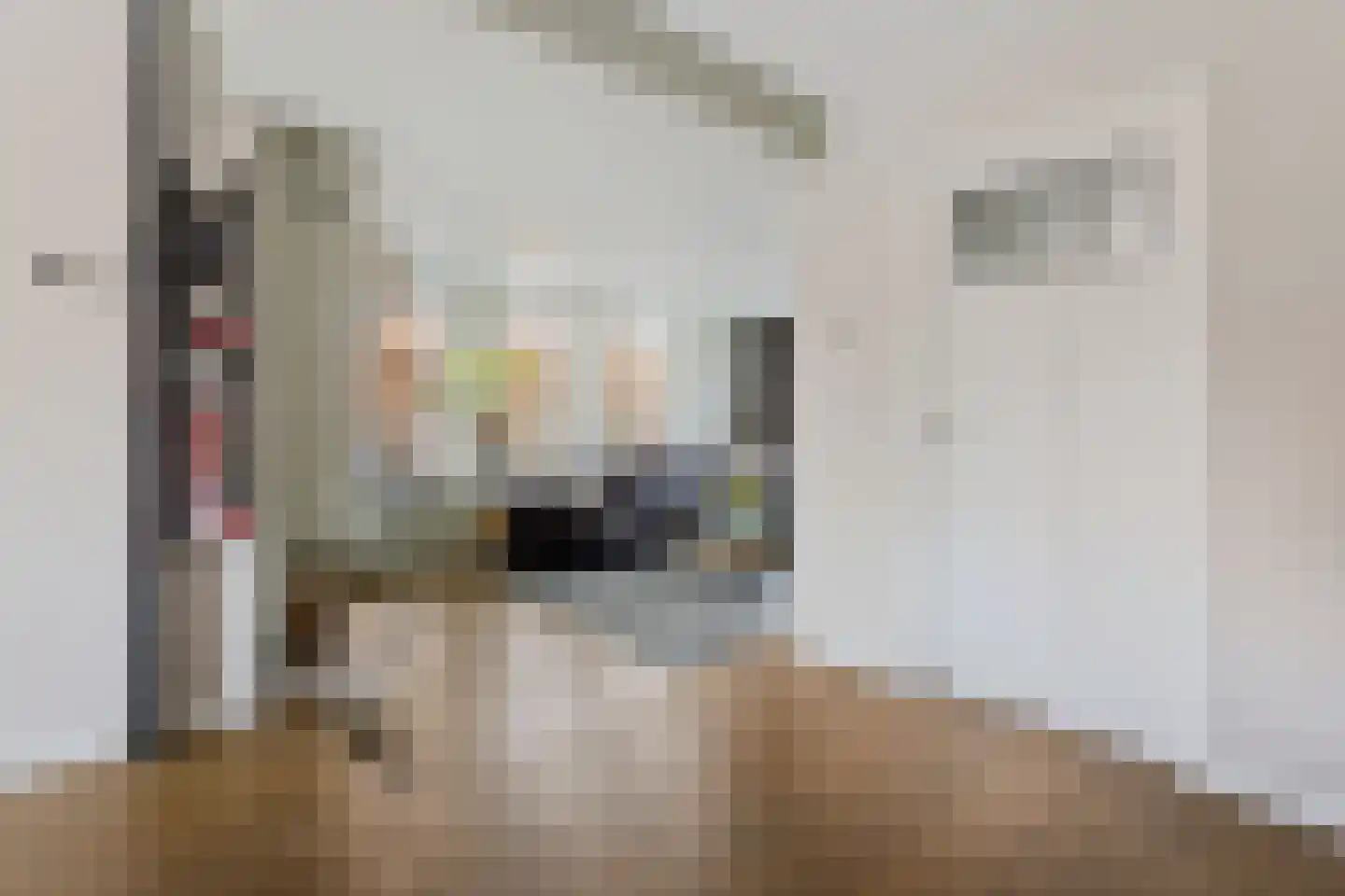 Gentiaan 7 Stroe thumbnail 11
