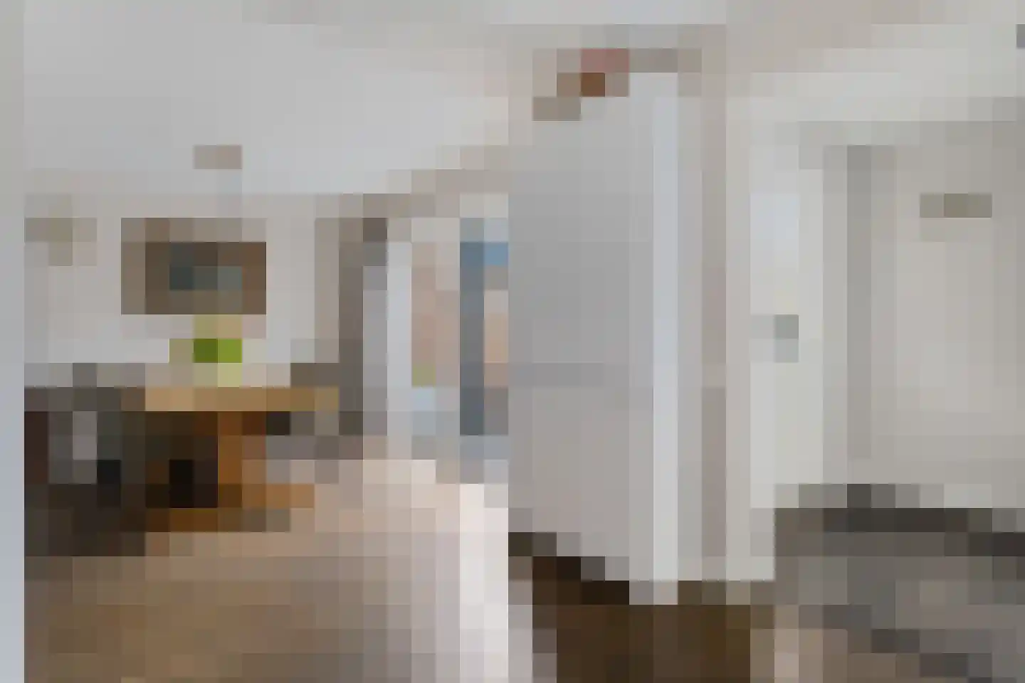 Gentiaan 7 Stroe thumbnail 21