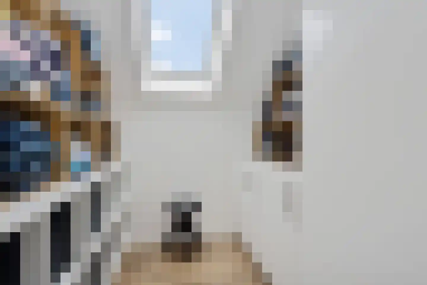 Gentiaan 7 Stroe thumbnail 23