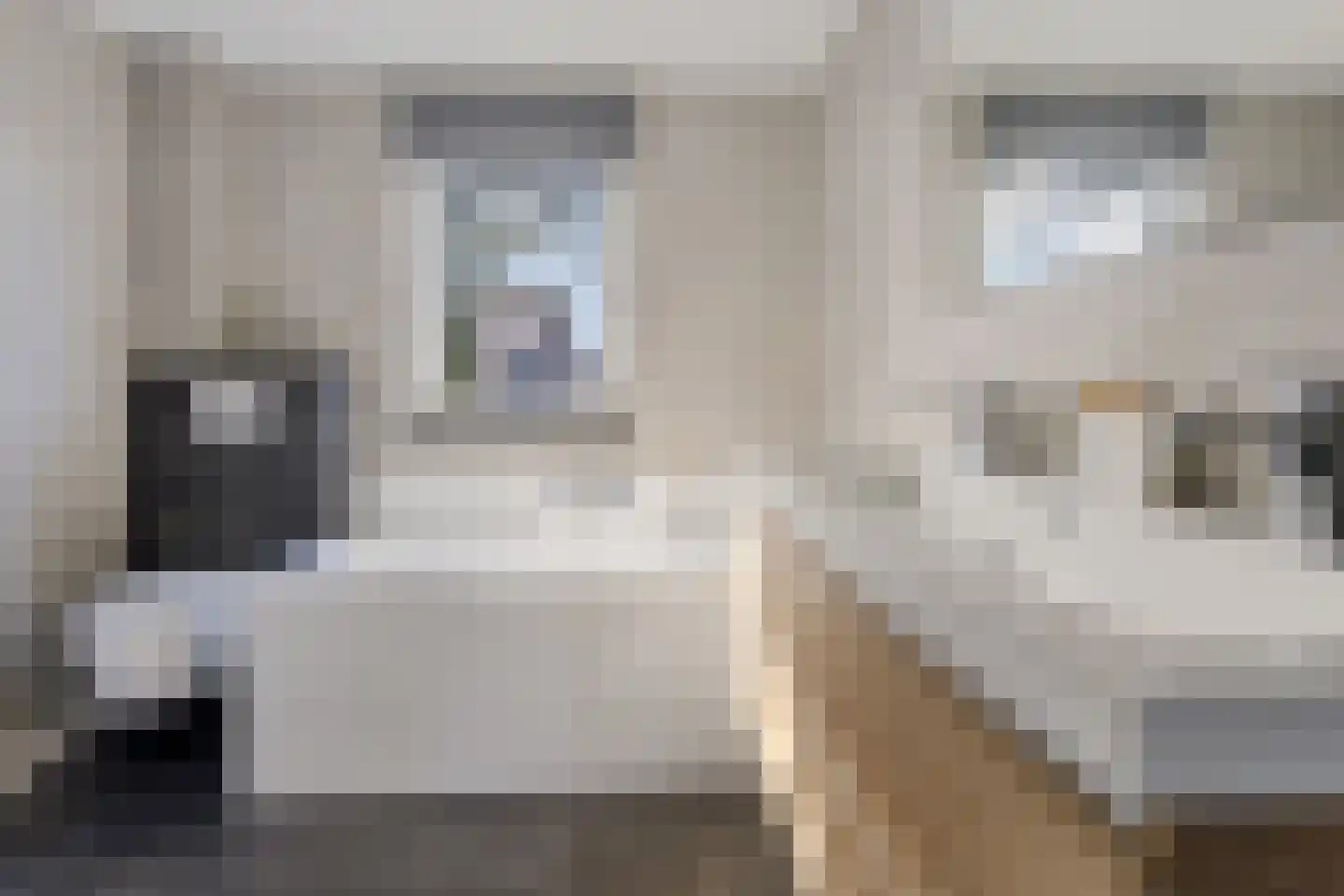 Gentiaan 7 Stroe thumbnail 28
