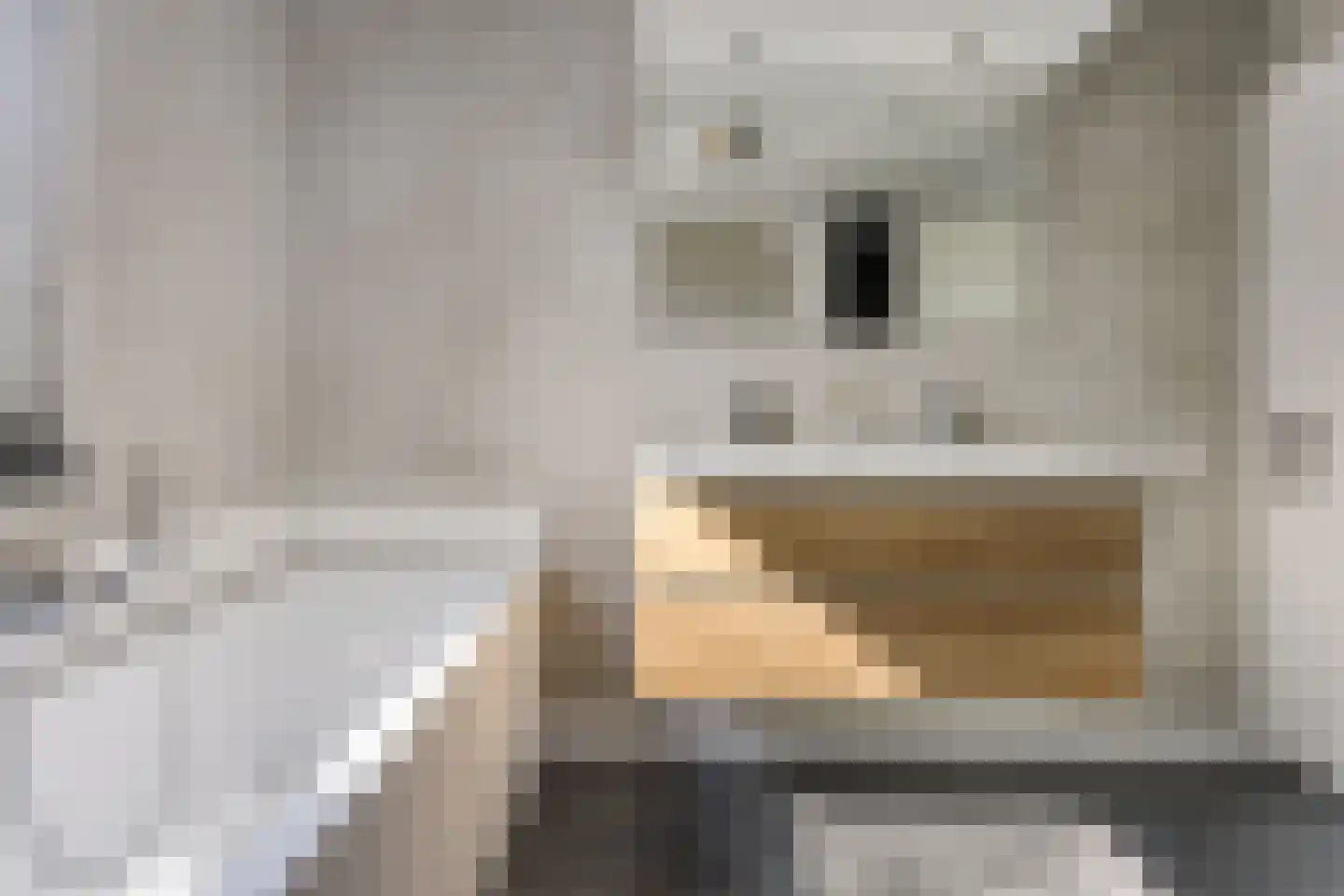 Gentiaan 7 Stroe thumbnail 29