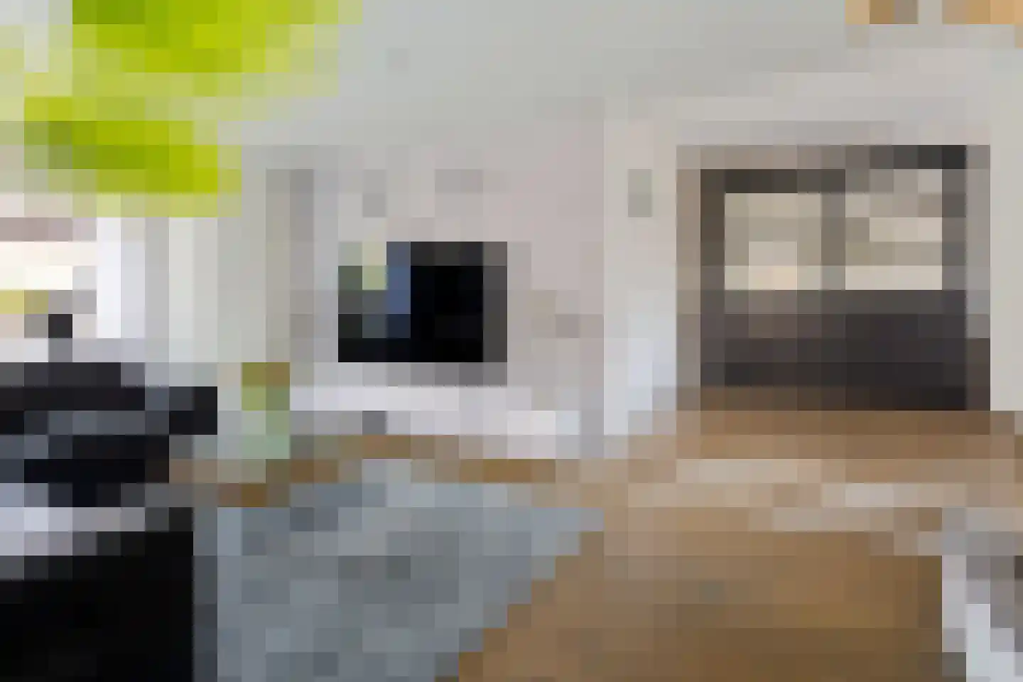 Gentiaan 7 Stroe foto 3