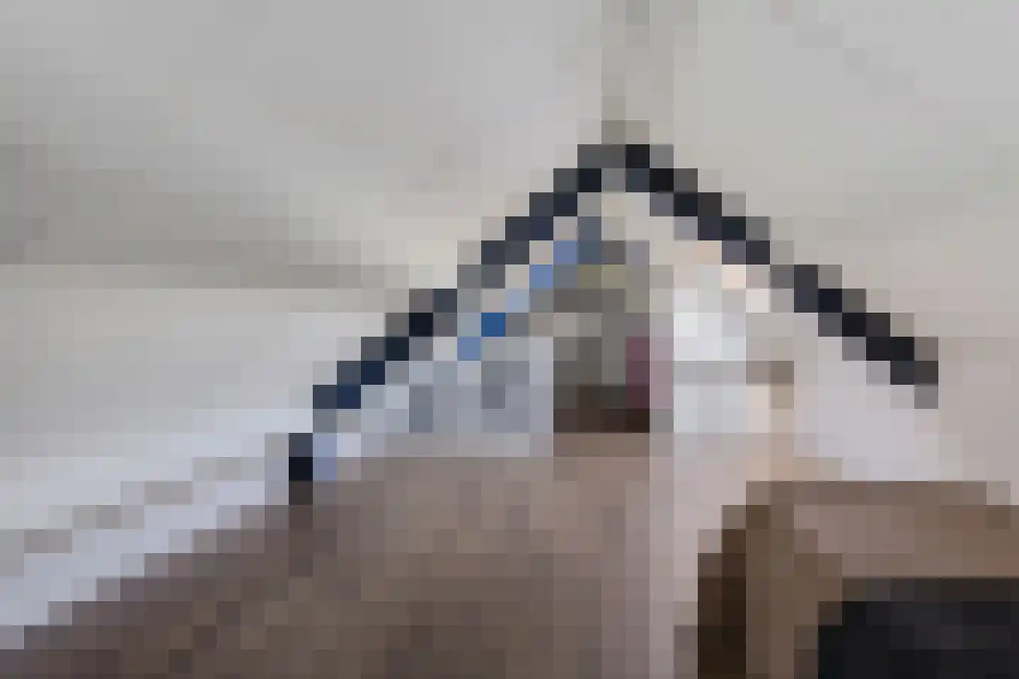 Gentiaan 7 Stroe thumbnail 39