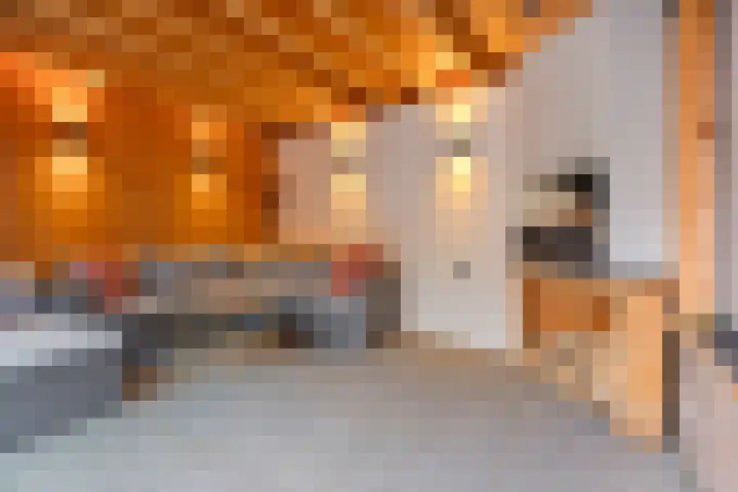 Gentiaan 7 Stroe thumbnail 42