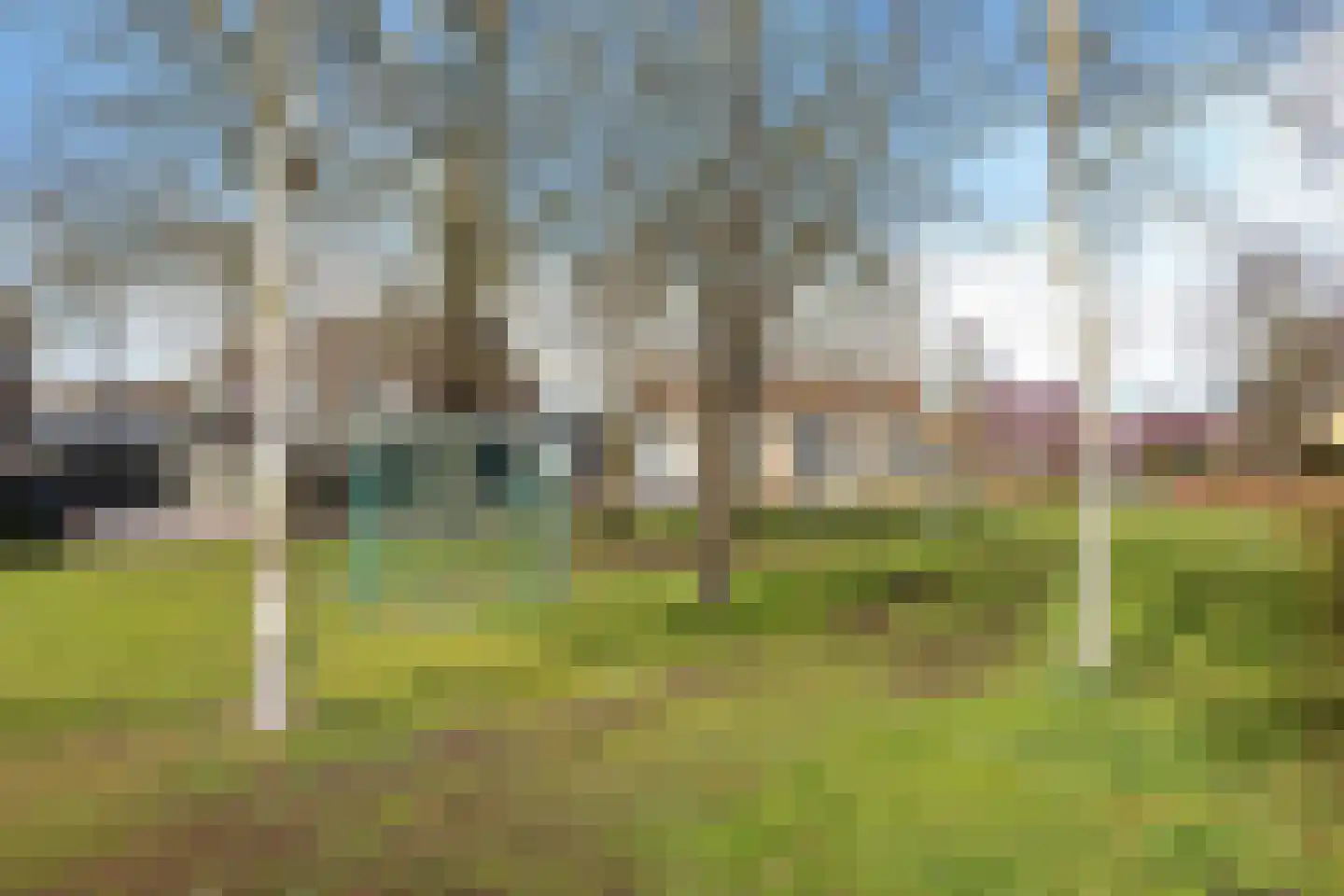 Gentiaan 7 Stroe thumbnail 50