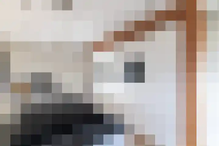 Gentiaan 8 a Haaksbergen thumbnail 10