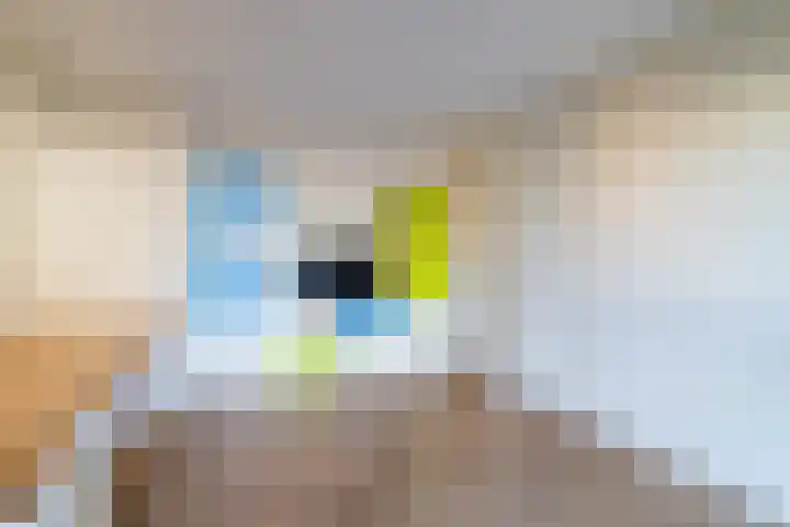 Gentiaan 8 a Haaksbergen thumbnail 14