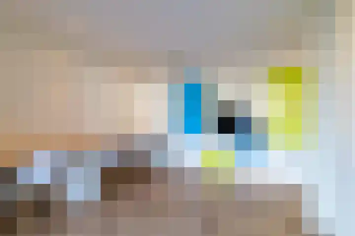 Gentiaan 8 a Haaksbergen thumbnail 15
