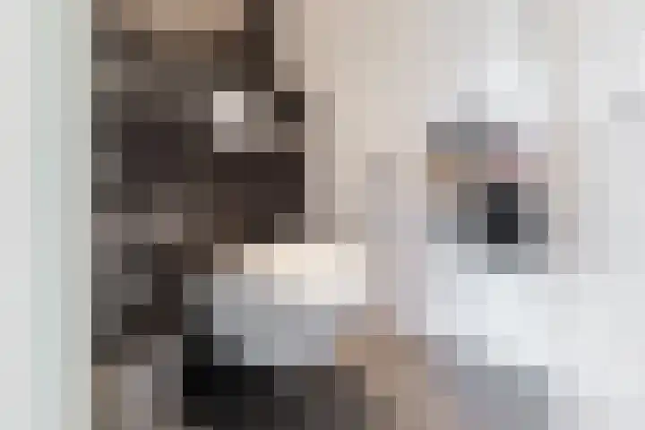 Gentiaan 8 a Haaksbergen thumbnail 19