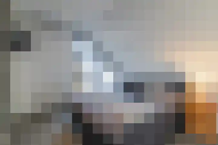 Gentiaan 8 a Haaksbergen thumbnail 20
