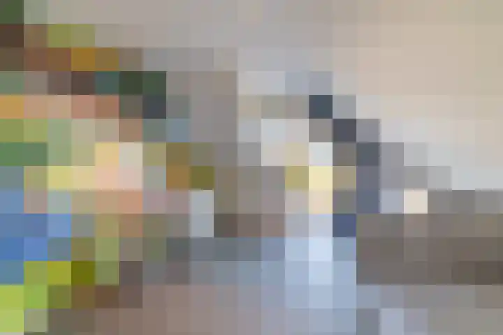 Gentiaan 8 a Haaksbergen thumbnail 27