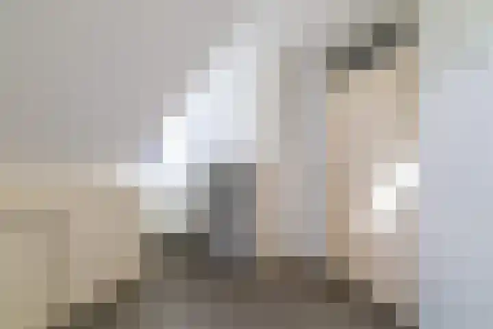 Gentiaan 8 a Haaksbergen thumbnail 34