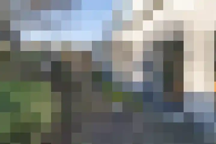 Gentiaan 8 a Haaksbergen thumbnail 42