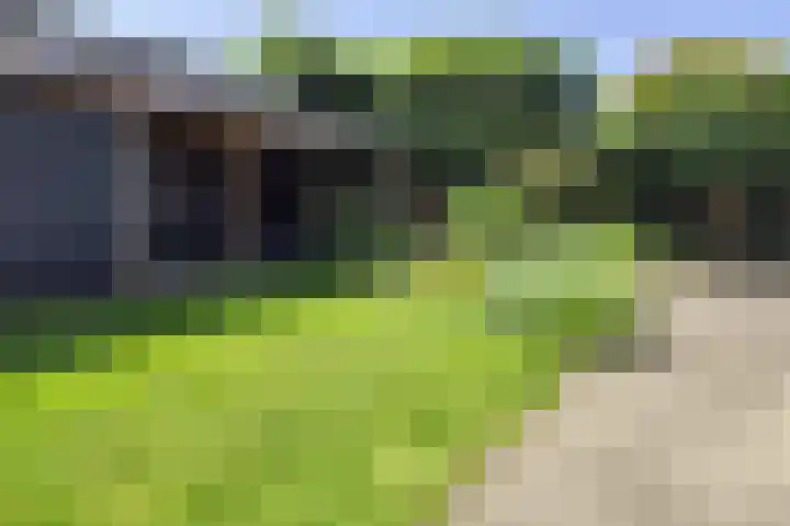 Gentiaan 8 a Haaksbergen thumbnail 44
