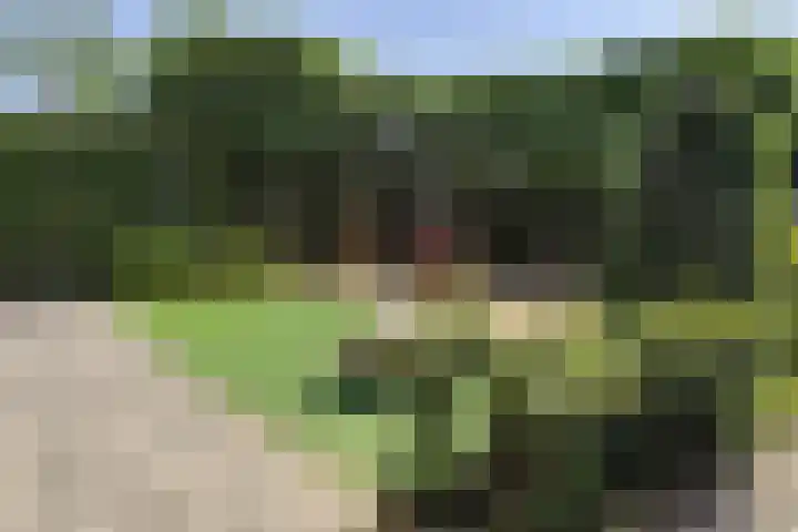 Gentiaan 8 a Haaksbergen thumbnail 47