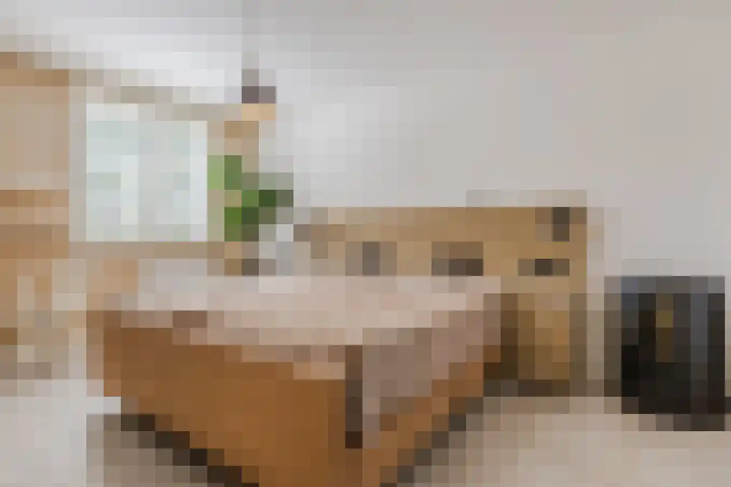 Gentiaan 8 Terheijden thumbnail 11