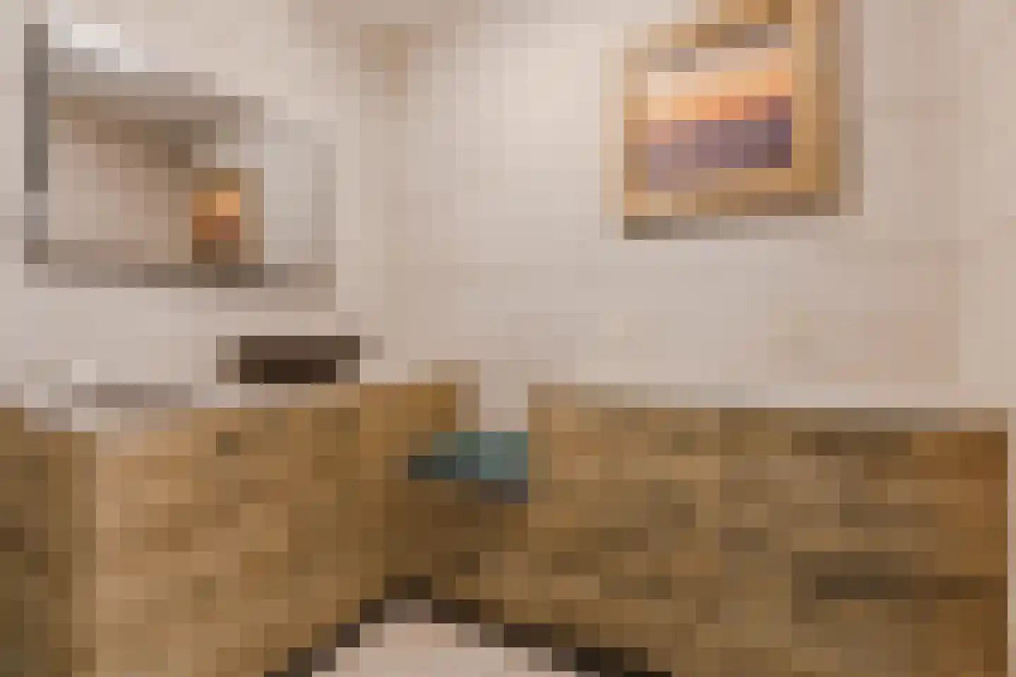 Gentiaan 8 Terheijden thumbnail 16