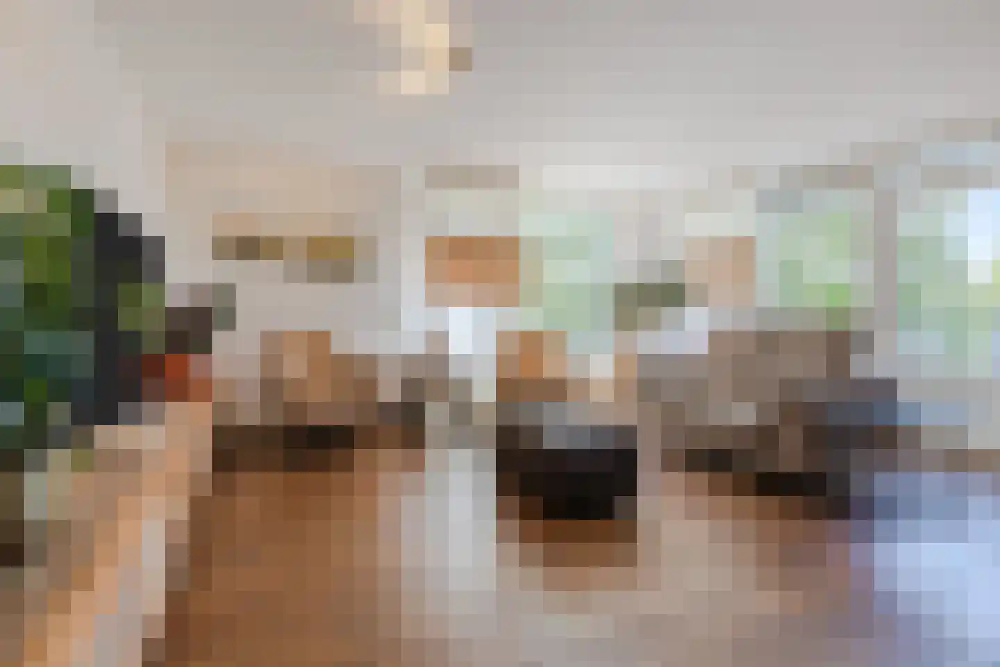 Gentiaan 8 Terheijden foto 2
