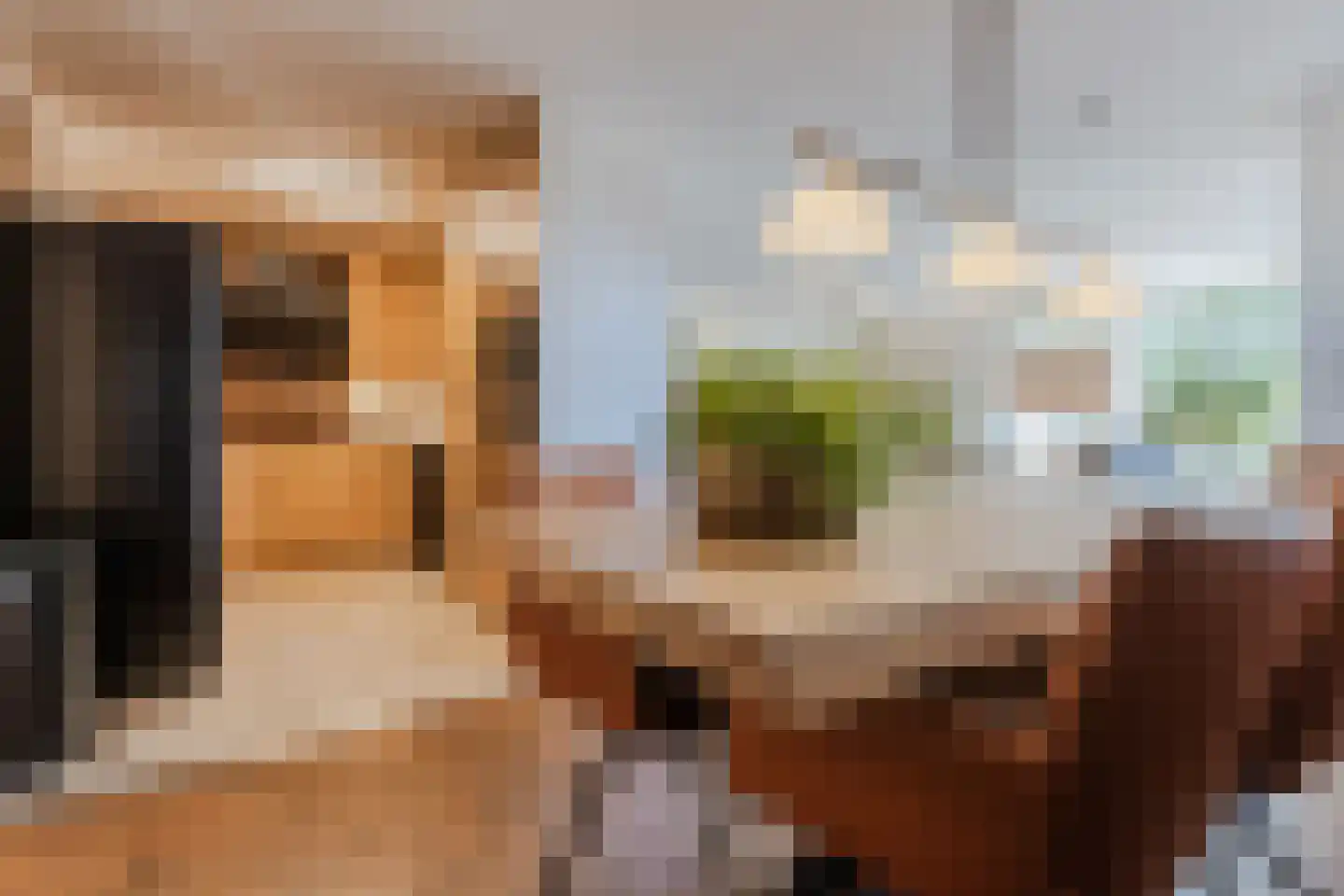 Gentiaan 8 Terheijden thumbnail 25