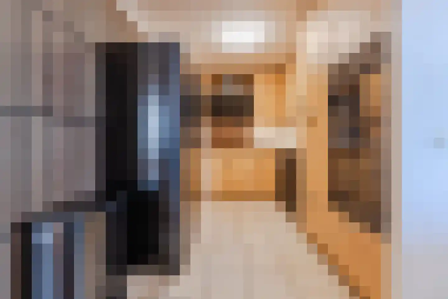 Gentiaan 8 Terheijden thumbnail 26