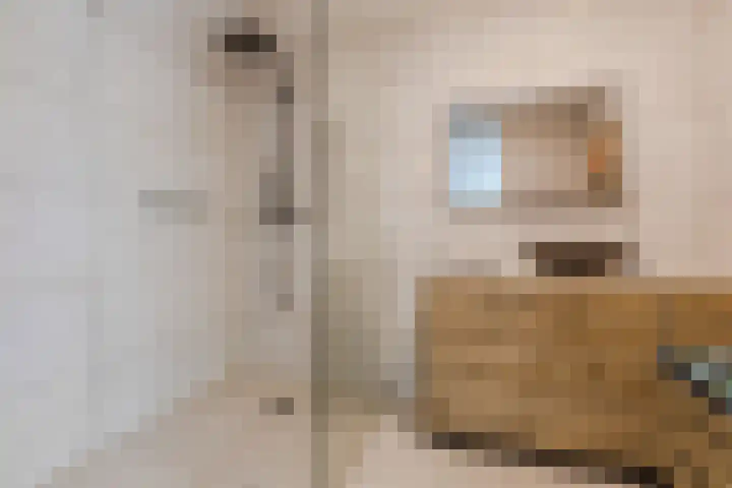 Gentiaan 8 Terheijden thumbnail 4