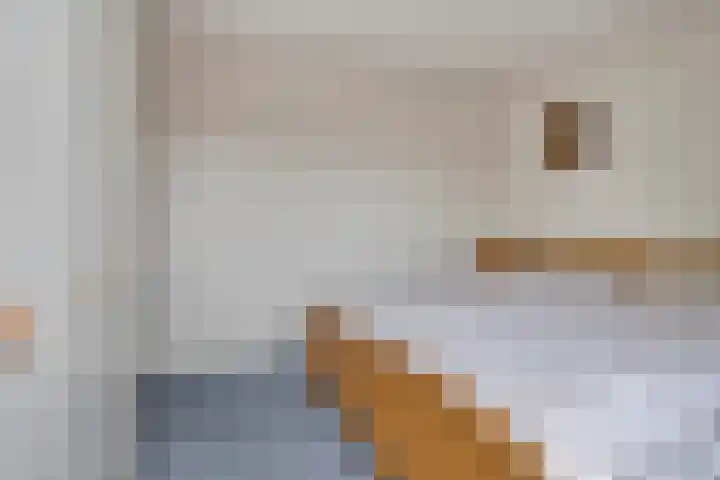 Gentiaan 85 Wolvega thumbnail 13
