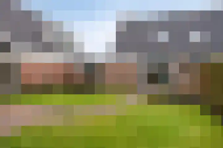 Gentiaan 85 Wolvega thumbnail 21