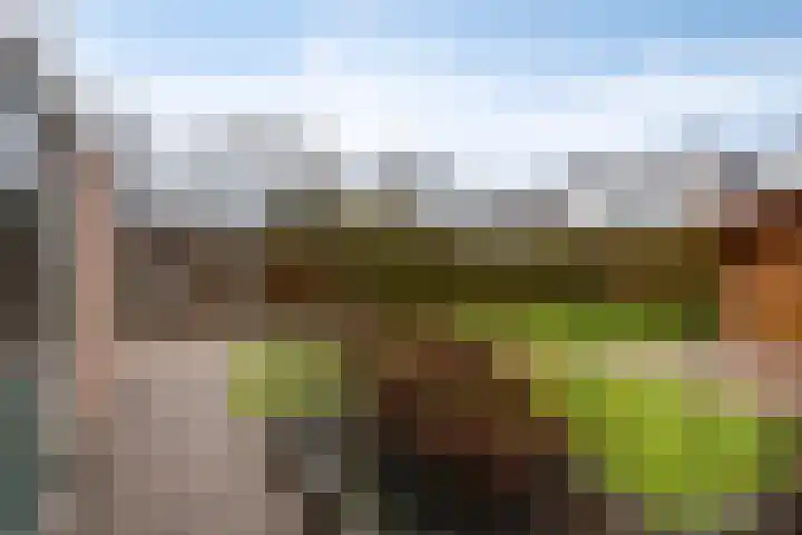 Gentiaan 85 Wolvega thumbnail 23