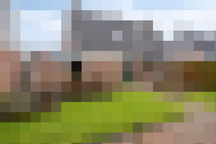 Gentiaan 85 Wolvega thumbnail 24