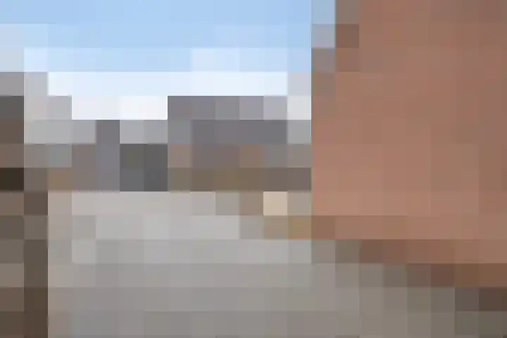 Gentiaan 85 Wolvega thumbnail 25