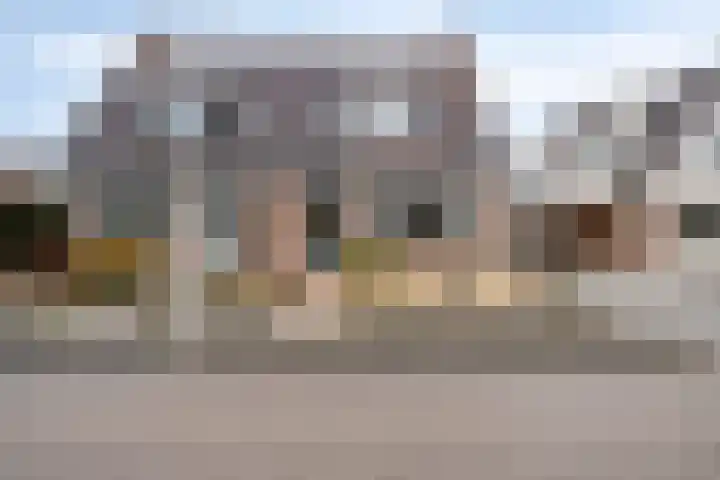 Gentiaan 85 Wolvega thumbnail 26