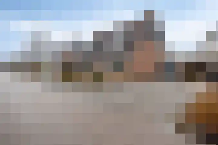 Gentiaan 85 Wolvega thumbnail 27