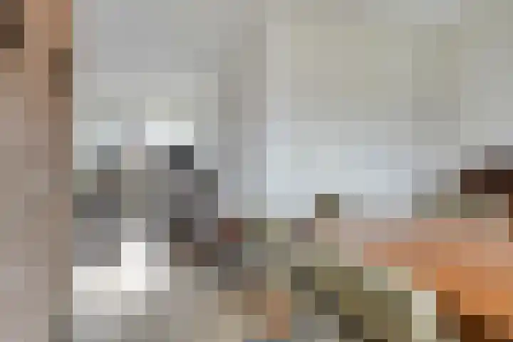 Gentiaan 85 Wolvega thumbnail 4