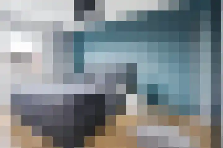 Gentiaan 9 Lelystad thumbnail 20
