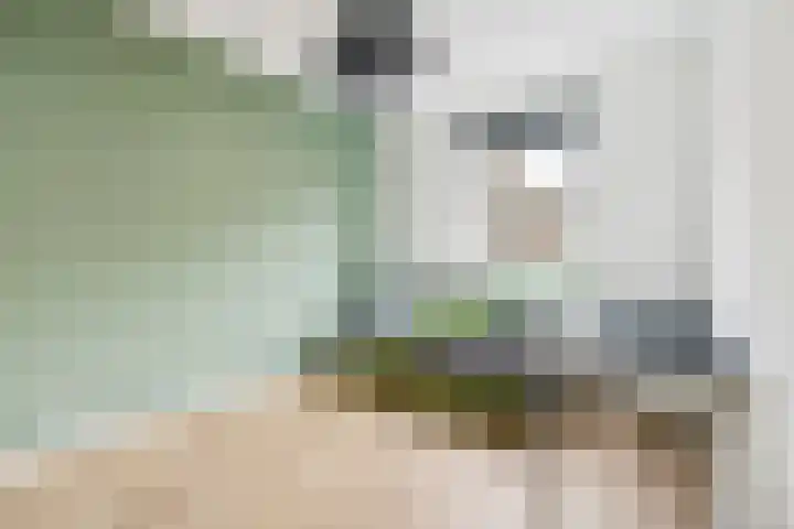 Gentiaan 9 Lelystad thumbnail 23