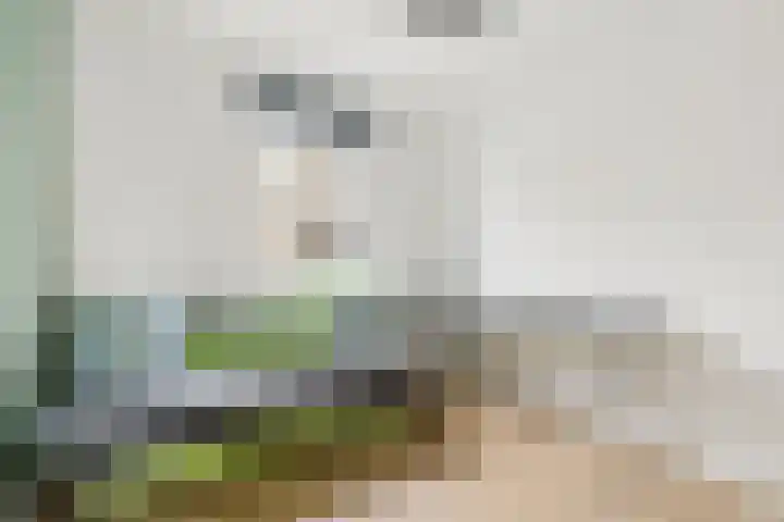 Gentiaan 9 Lelystad thumbnail 24