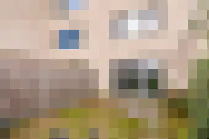 Gentiaan 9 Lelystad thumbnail 36