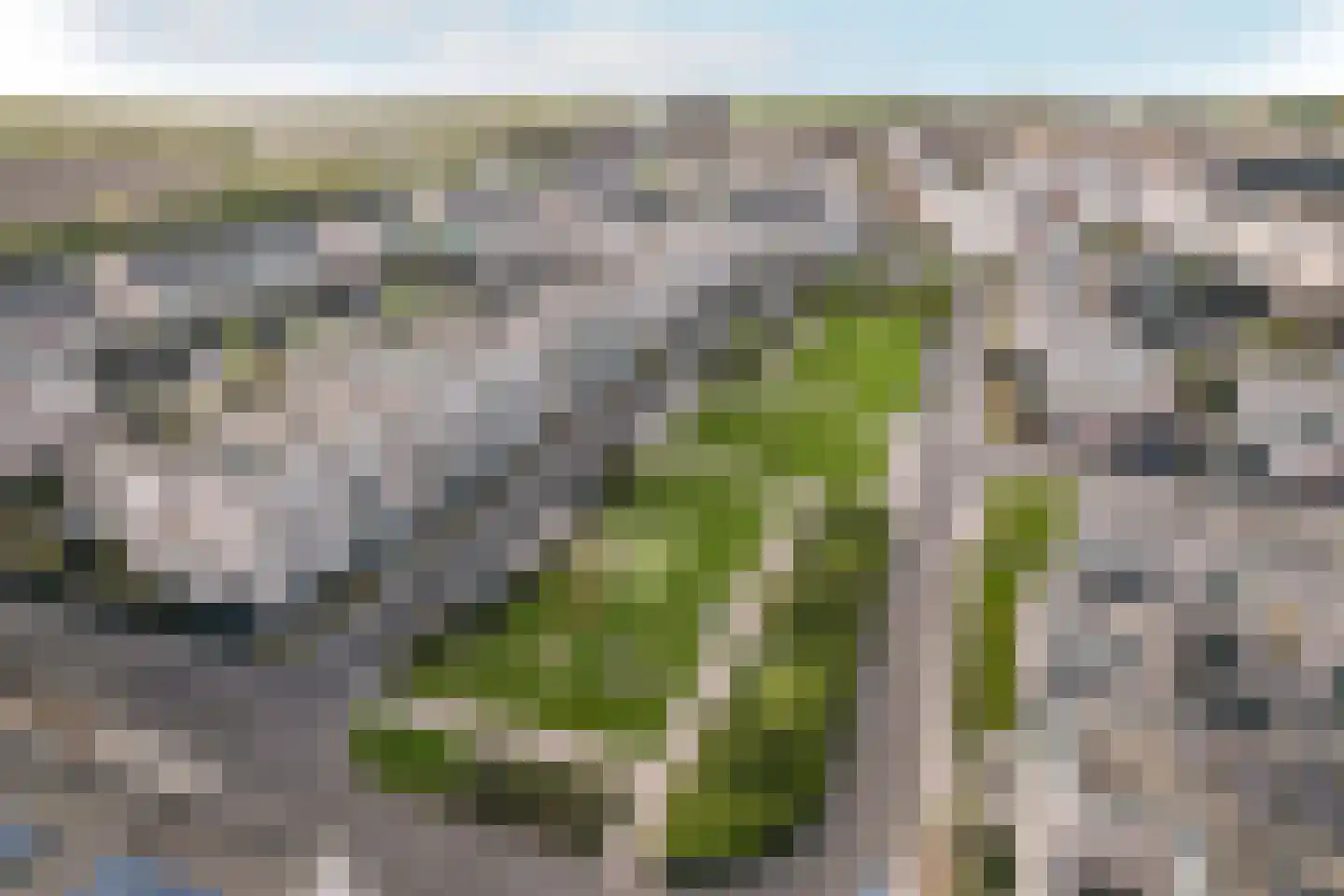 Gentiaan 9 Lelystad thumbnail 37