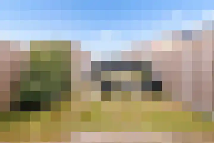 Gentiaan 9 Lelystad thumbnail 37