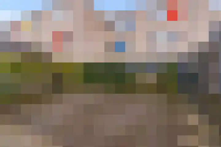 Gentiaan 9 Lelystad thumbnail 42