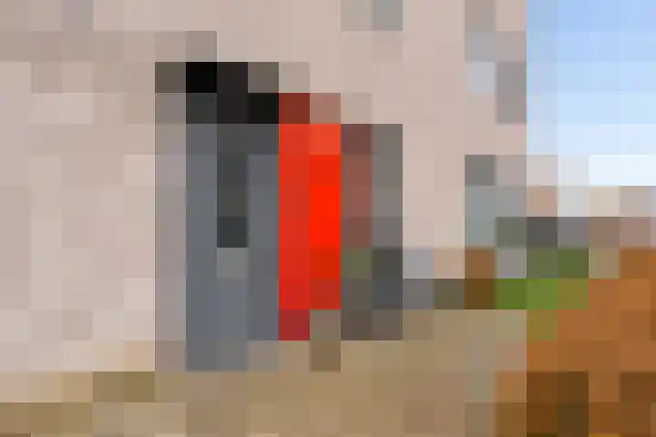 Gentiaan 9 Lelystad thumbnail 47