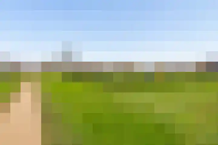 Gentiaan 9 Lelystad thumbnail 54