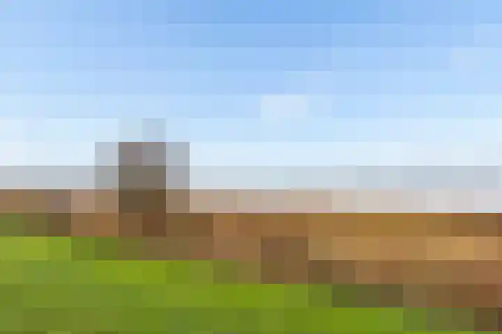 Gentiaan 9 Lelystad thumbnail 57