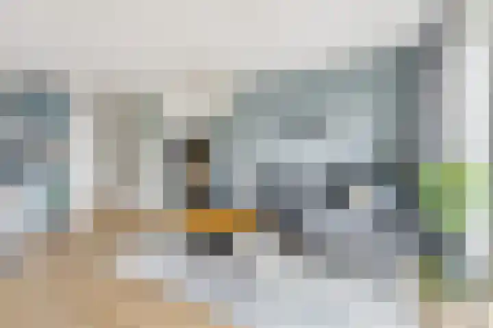 Gentiaan 9 Lelystad thumbnail 6