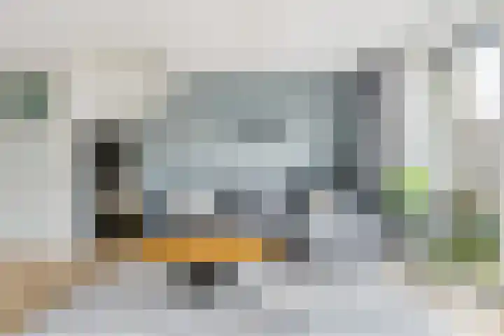 Gentiaan 9 Lelystad thumbnail 7