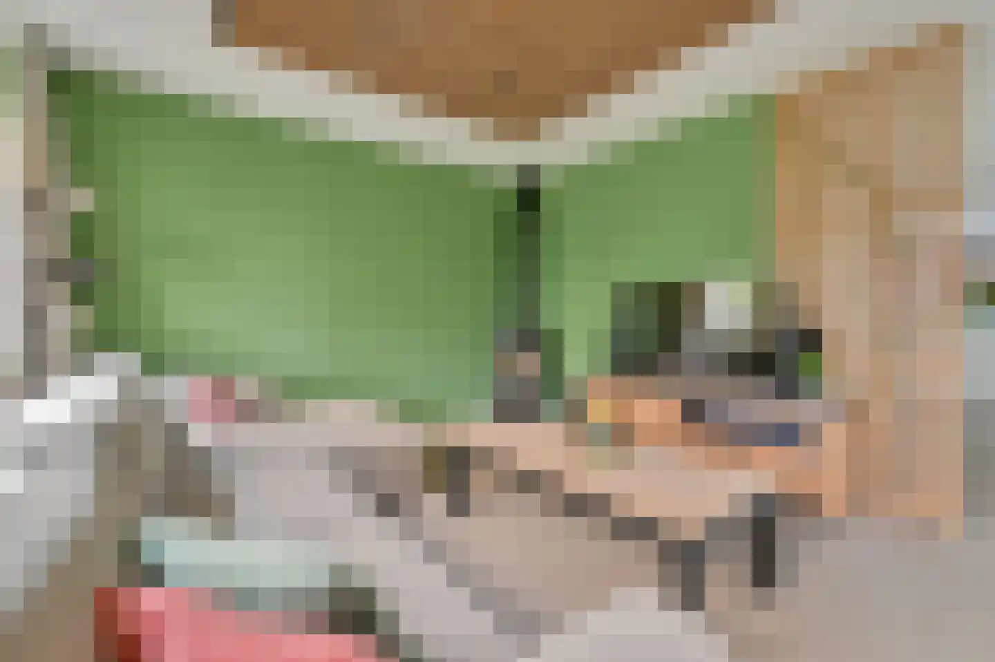 Gentiaan 9 Stroe thumbnail 11