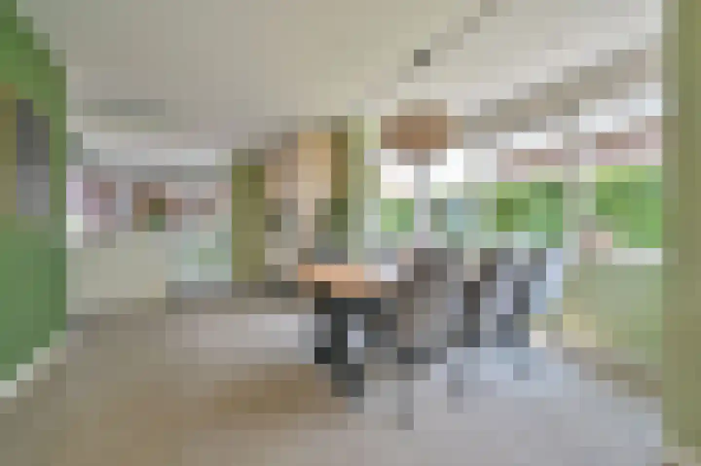 Gentiaan 9 Stroe thumbnail 12