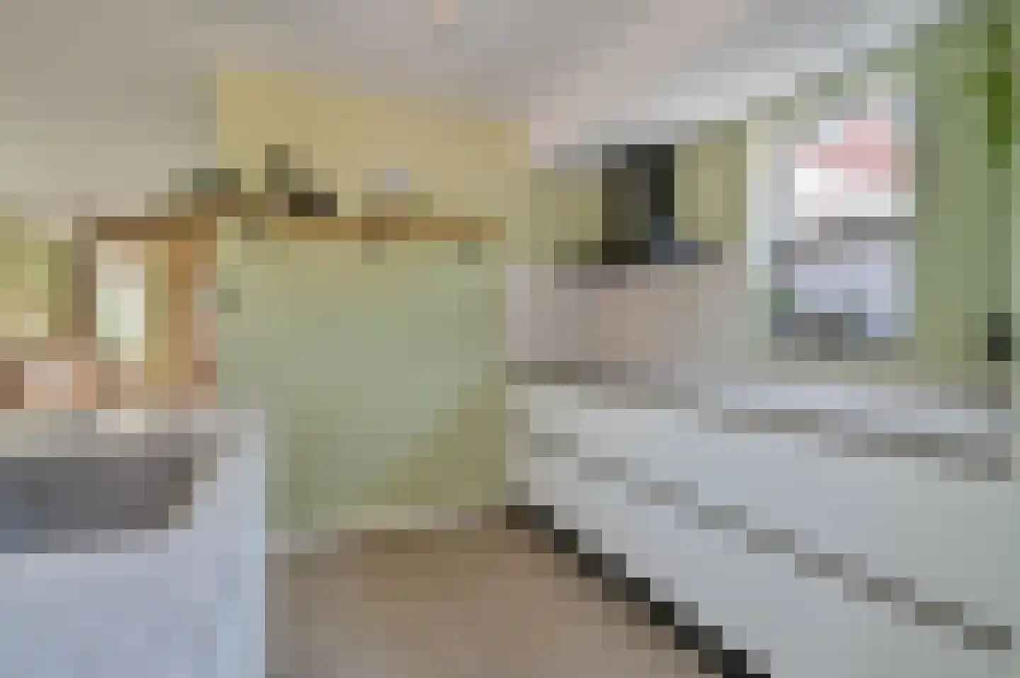 Gentiaan 9 Stroe thumbnail 15