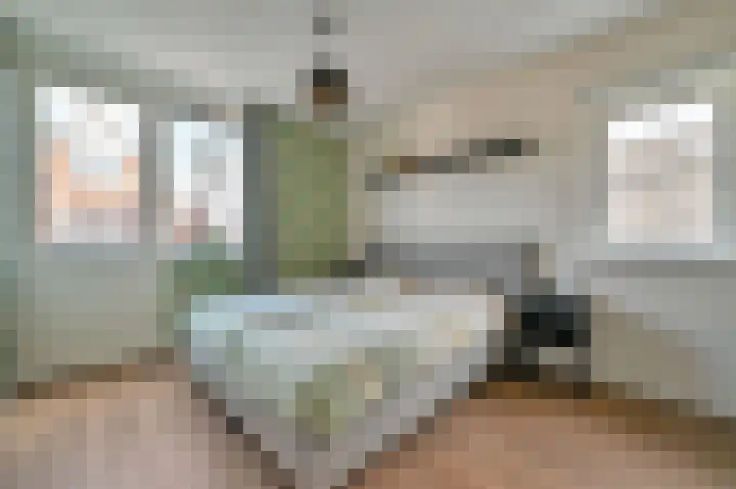 Gentiaan 9 Stroe thumbnail 21
